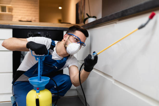 Professional Pest Control in Capac, MI