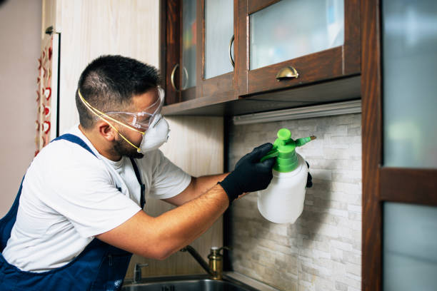 Best Cockroach Control Services  in Capac, MI