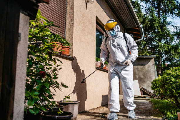 Wasp Removal Services in Capac, MI