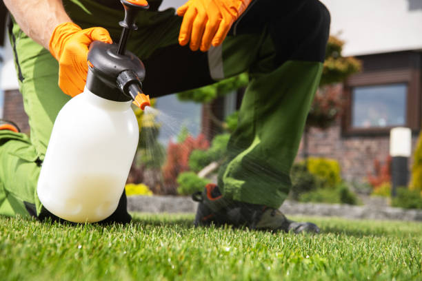 Best Pest Removal Services  in Capac, MI