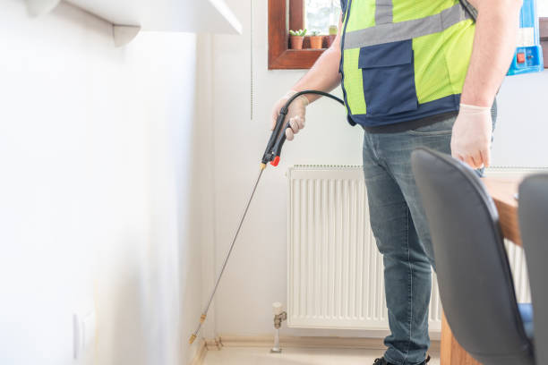 Best Termite Control Services  in Capac, MI