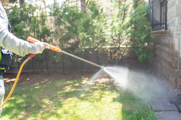 Best Pest Prevention Services  in Capac, MI