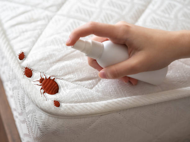 Best Pest Control Near Me  in Capac, MI