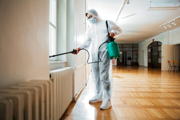 Best Mosquito Control Services  in Capac, MI