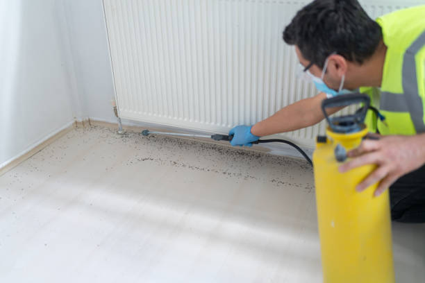 Pest Prevention Services in Capac, MI