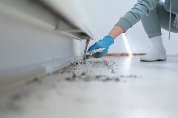Best Emergency Pest Control  in Capac, MI