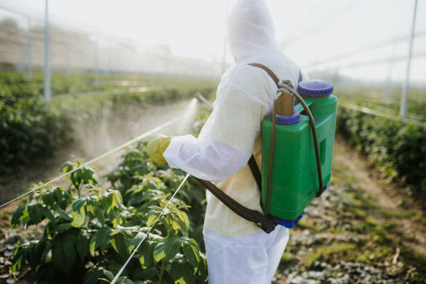 Best Wasp Removal Services  in Capac, MI